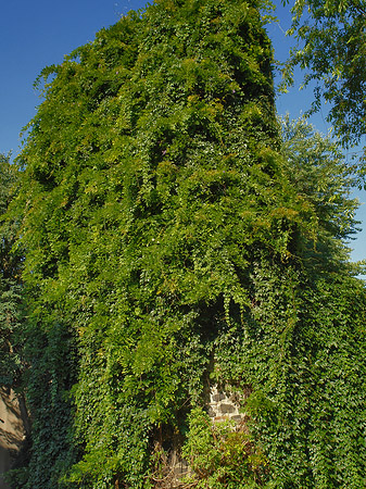 Foto Helenenturm