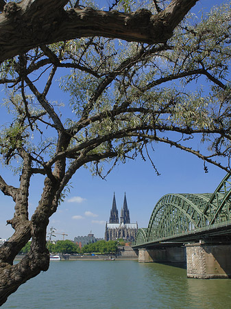 Hohenzollernbrücke am Kölner Dom Foto 