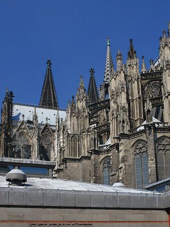 Kölner Dom mit Dombauhütte Foto 