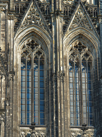 Fenster des Kölner Doms Foto 