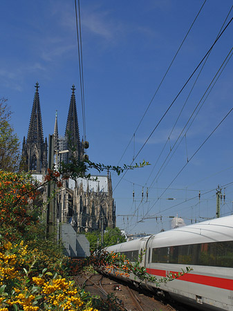 Kölner Dom mit ICE Fotos