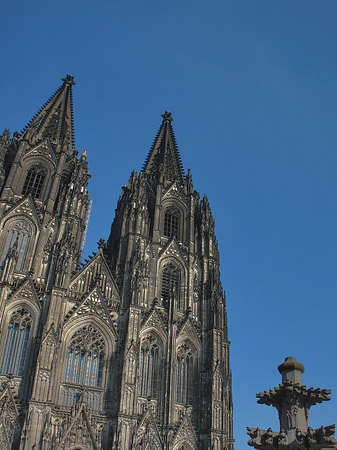 Fotos Kreuzblume vor Kölner Dom | Köln