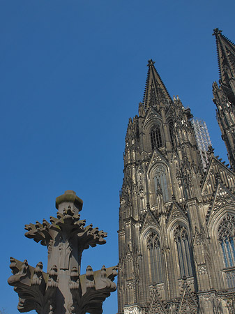 Kreuzblume vor Kölner Dom Foto 