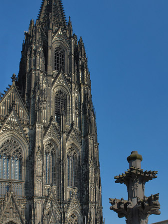 Kreuzblume vor Kölner Dom Foto 