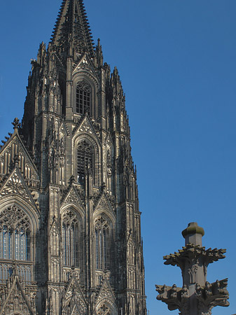 Foto Kreuzblume vor Kölner Dom