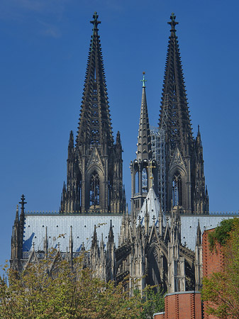 Fotos Steinmauer zum Kölner Dom