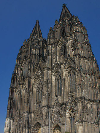 Fotos Touristen tummeln sich vor Kölner Dom