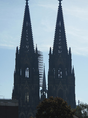 Fotos Kölner Dom