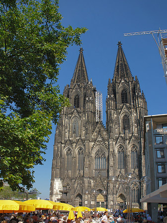 gelbe Sonnenschirme vor Kölner Dom Foto 