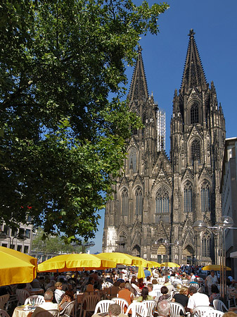 Fotos gelbe Sonnenschirme vor Kölner Dom | Köln