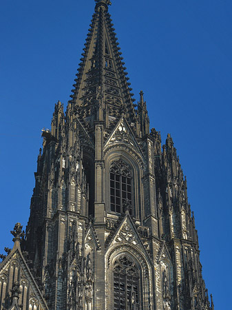 Fotos Fenster des Kölner Doms