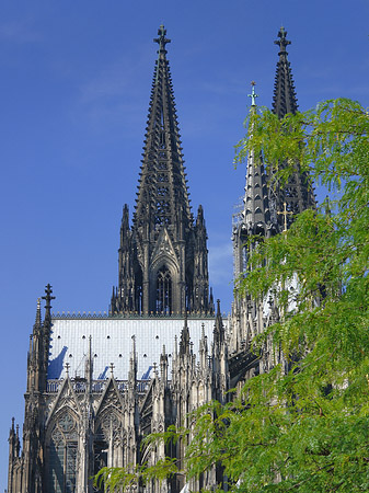 Fotos Türme des Kölner Doms | Köln