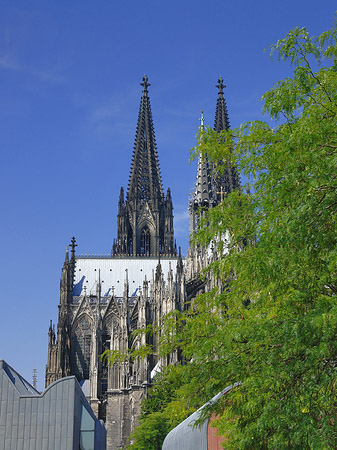 Fotos Türme des Kölner Doms | Köln