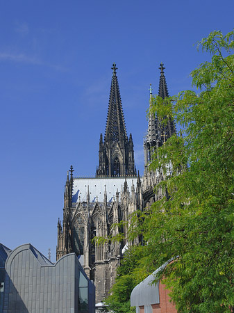 Fotos Türme des Kölner Doms | Köln