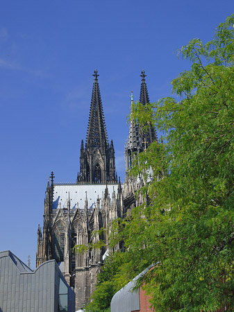 Fotos Türme des Kölner Doms