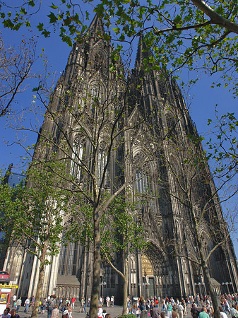 Westfassade des Kölner Doms Foto 