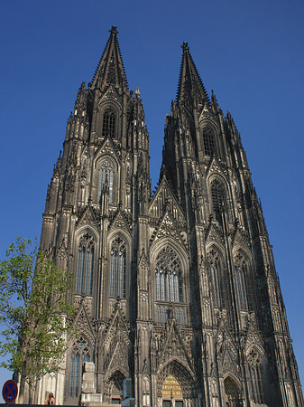 Menschen beim Kölner Dom Fotos