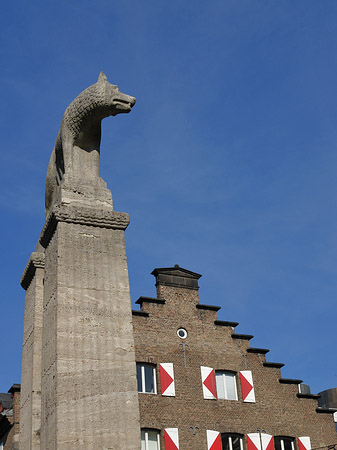 Fotos Wolfsstatue und Stadtmuseum | Köln