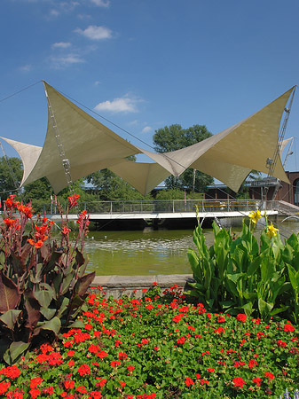 Tanzbrunnen im Rheinpark Foto 