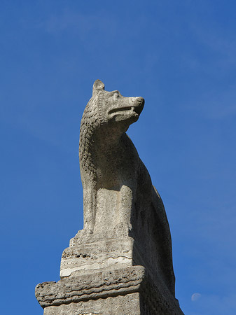 Wolfsstatue am Stadtmuseum Foto 