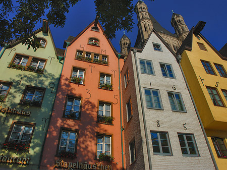 Foto Fischmarkt in der Altstadt - Köln