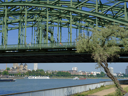 Hohenzollernbrücke mit Baum Fotos