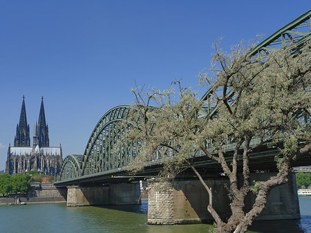 Foto Hohenzollernbrücke am Kölner Dom - Köln