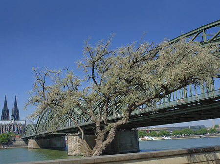 Foto Hohenzollernbrücke am Kölner Dom