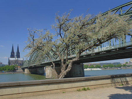 Fotos Hohenzollernbrücke am Kölner Dom