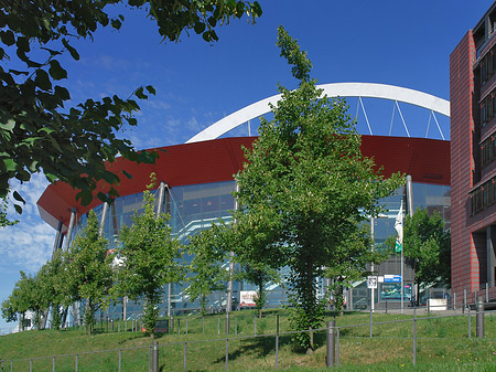 Foto Kölnarena auf einer Wiese - Köln