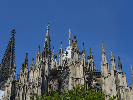 Foto Kölner Dom mit Baum - Köln