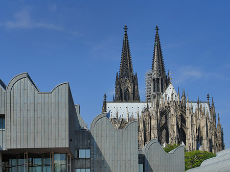 Foto Dächer vor dem Kölner Dom