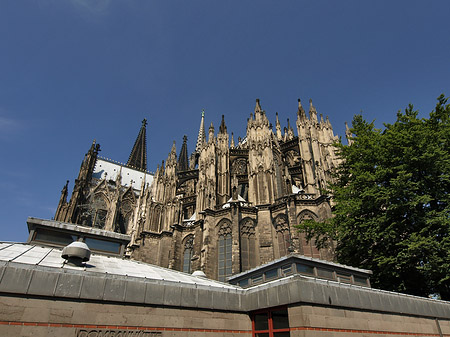 Kölner Dom mit Dombauhütte Fotos