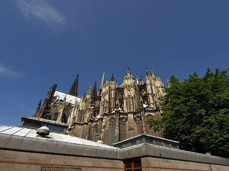 Fotos Kölner Dom mit Dombauhütte