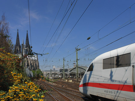 Fotos Kölner Dom mit ICE