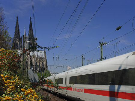 Foto Kölner Dom mit ICE