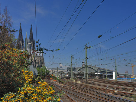 Fotos Hauptbahnhof neben dem Kölner Dom | Köln