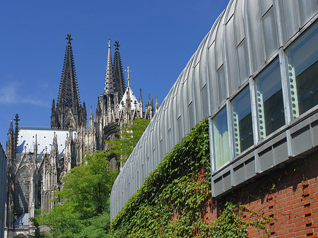 Hauptbahnhof vor dem Kölner Dom