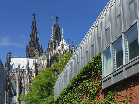 Hauptbahnhof vor dem Kölner Dom Fotos