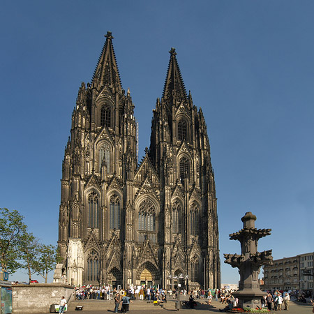 Kreuzblume vor Kölner Dom Foto 