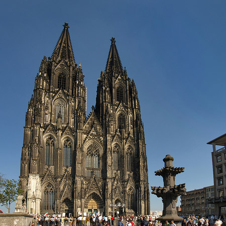 Foto Kreuzblume vor Kölner Dom - Köln