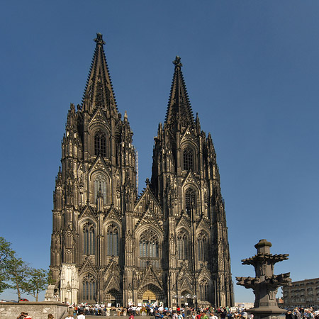 Fotos Kreuzblume vor Kölner Dom