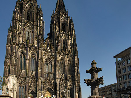 Kreuzblume vor Kölner Dom Foto 