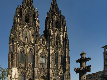 Foto Kreuzblume vor Kölner Dom - Köln