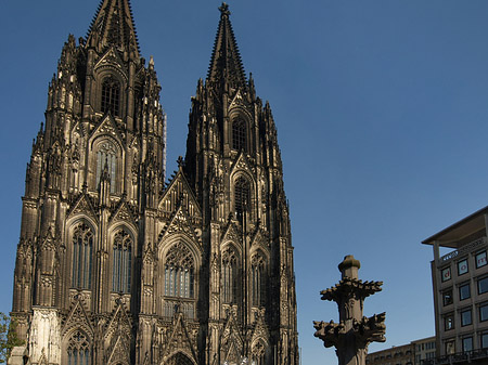 Fotos Kreuzblume vor Kölner Dom | Köln