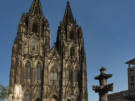 Fotos Kreuzblume vor Kölner Dom | Köln