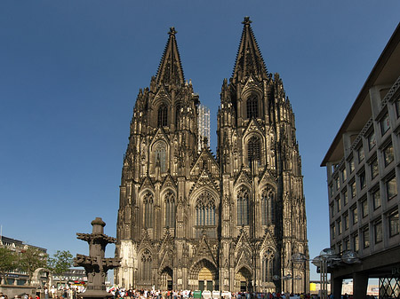 Foto Kreuzblume vor Kölner Dom