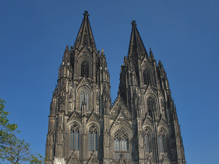 Fotos Kreuzblume vor Kölner Dom