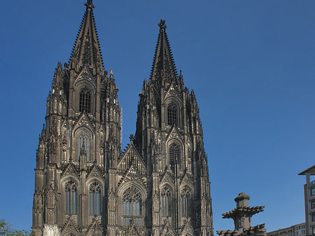 Fotos Kreuzblume vor Kölner Dom | Köln