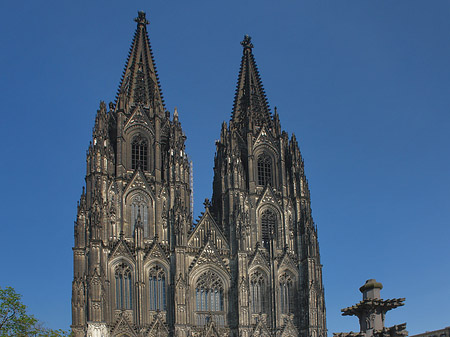 Fotos Kreuzblume vor Kölner Dom